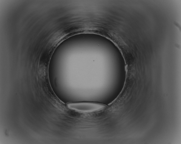 X0000093371169200710191110