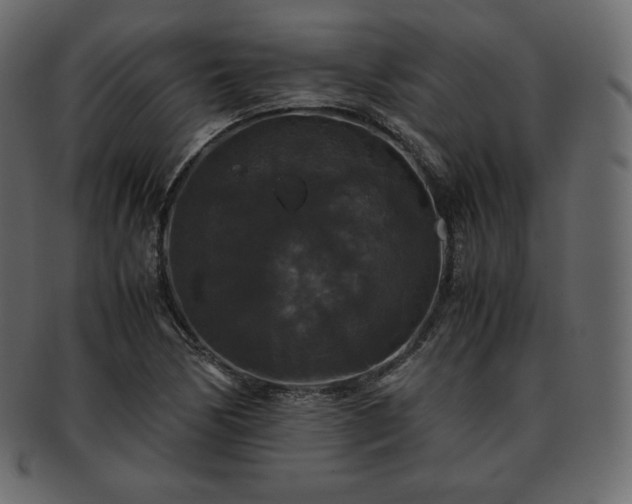 X0000093371170200710191110