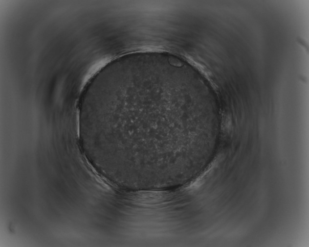 X0000093371171200710191110