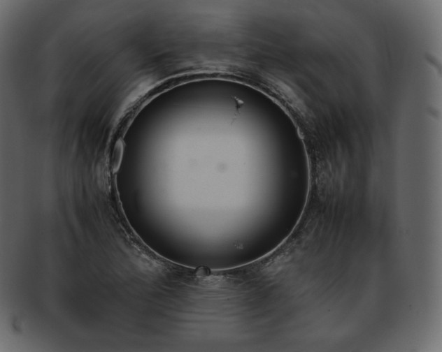 X0000093371172200710191110