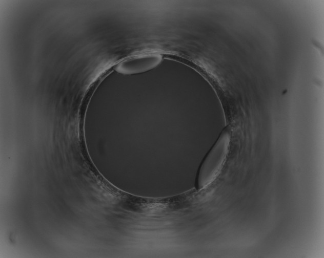 X0000093371173200710191110