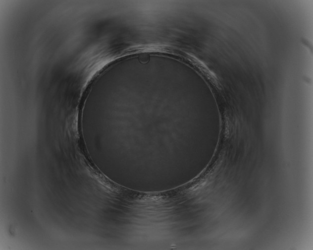 X0000093371174200710191110