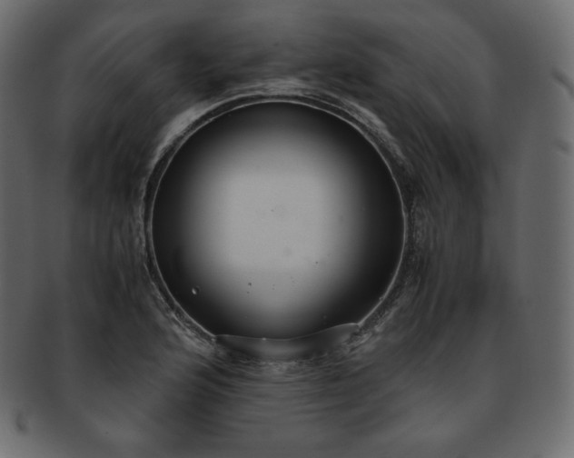 X0000093371176200710191110