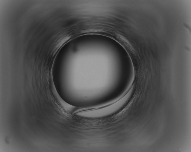 X0000093371177200710191110