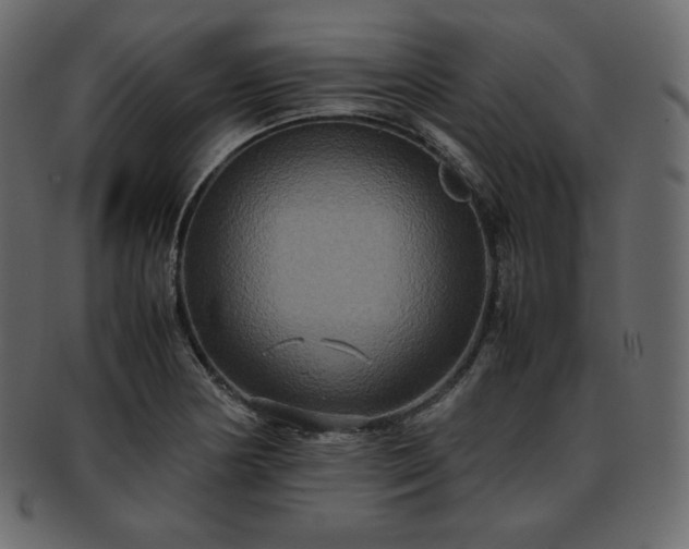 X0000093371178200710191110