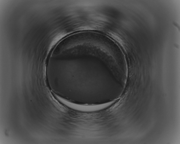 X0000093371179200710191110