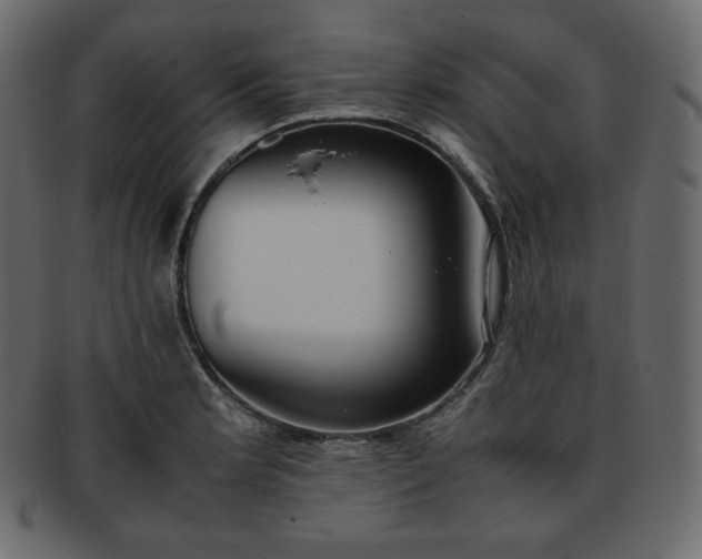 X0000093371181200710191110