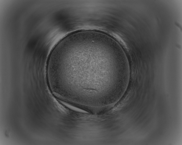 X0000093371183200710191110