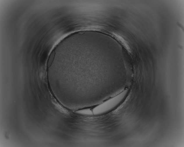 X0000093371184200710191110