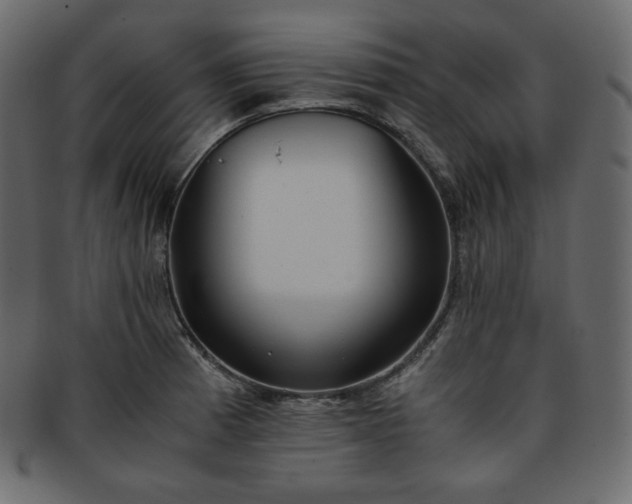 X0000093371185200710191110