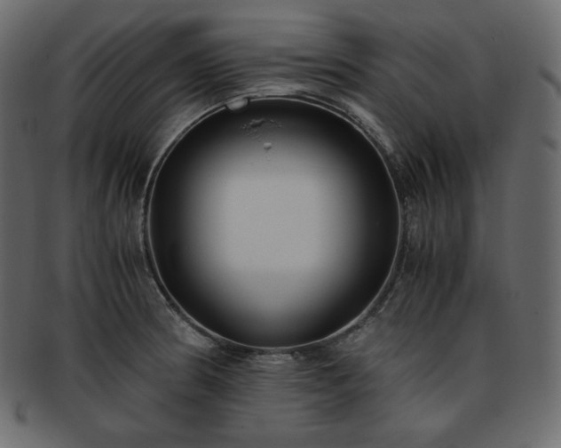 X0000093371186200710191110