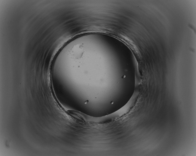 X0000093371188200710191110