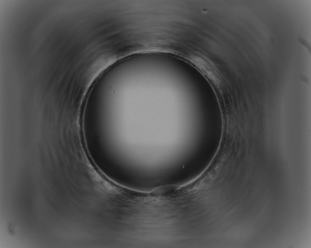 X0000093371189200710191110