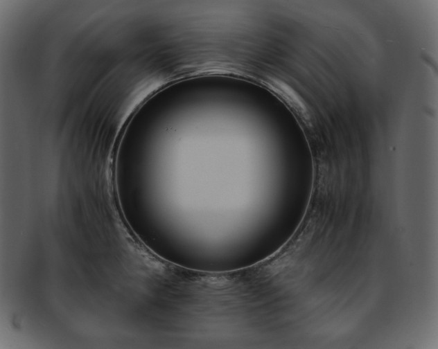 X0000093371190200710191110