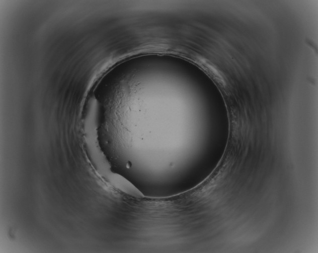 X0000093371192200710191110