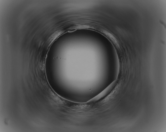 X0000093371193200710191110