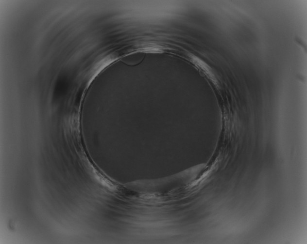 X0000093371194200710191110