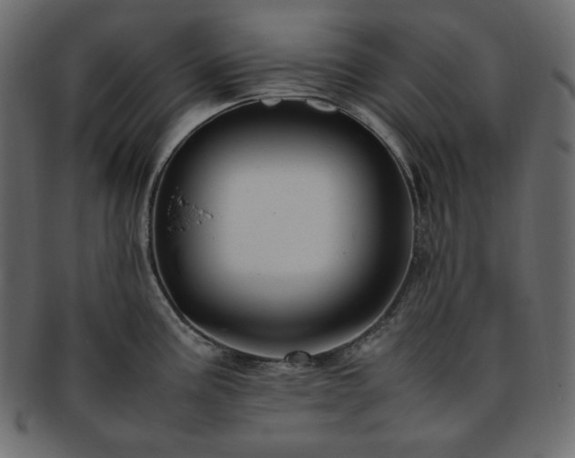 X0000093371195200710191110