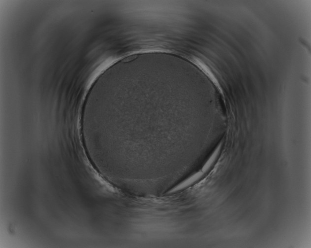 X0000093371197200710191110