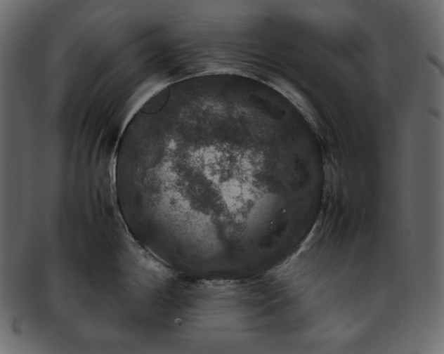 X0000093371198200710191110