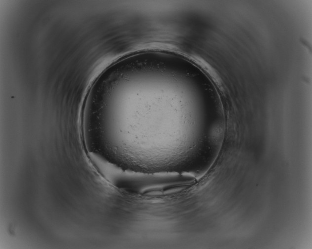 X0000093371199200710191110