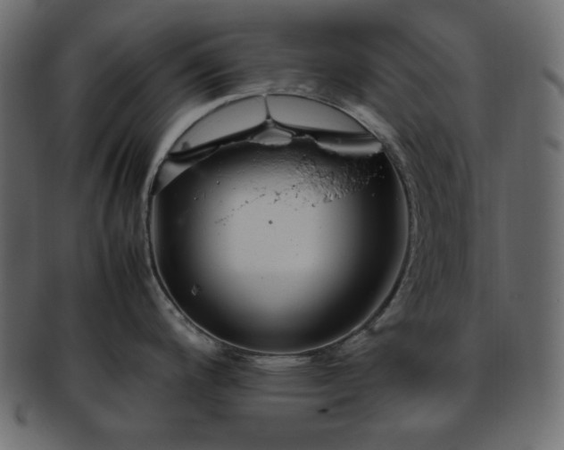 X0000093371200200710191110