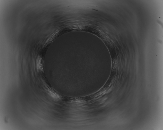 X0000093371202200710191109