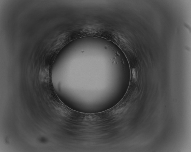 X0000093371203200710191109