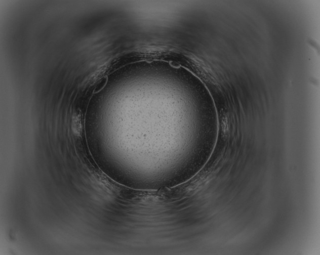 X0000093371204200710191109