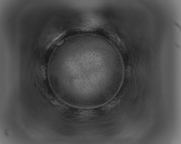 X0000093371205200710191110