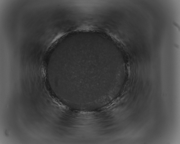 X0000093371206200710191110