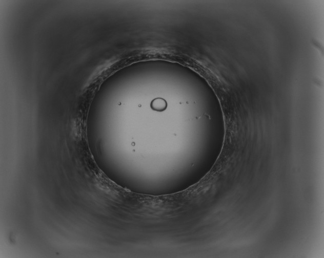 X0000093371207200710191110