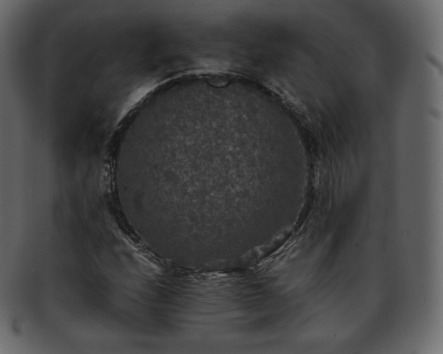 X0000093371208200710191110