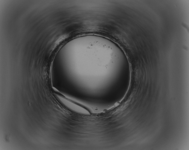 X0000093371210200710191110