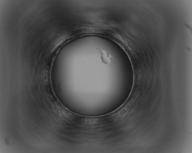 X0000093371211200710191110