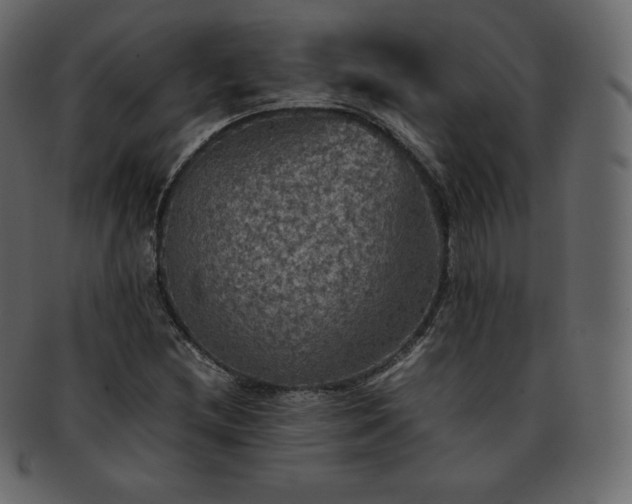 X0000093371212200710191110