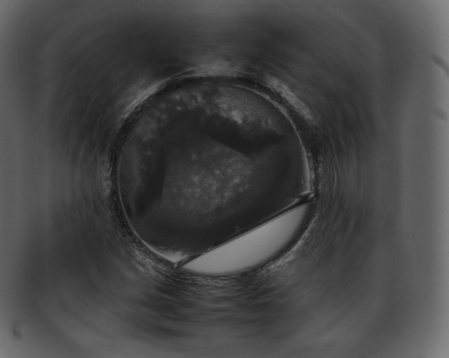 X0000093371213200710191110