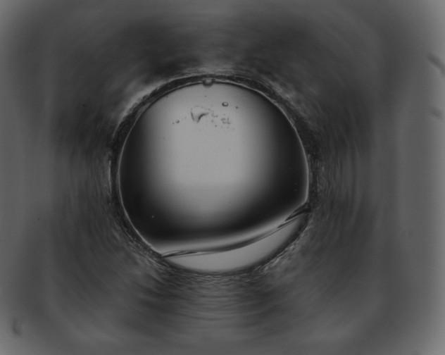 X0000093371214200710191110