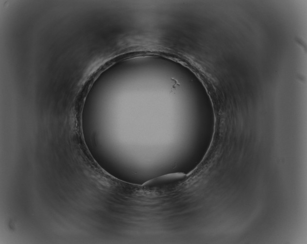 X0000093371215200710191110