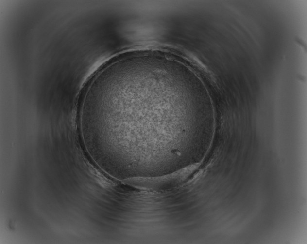 X0000093371216200710191110