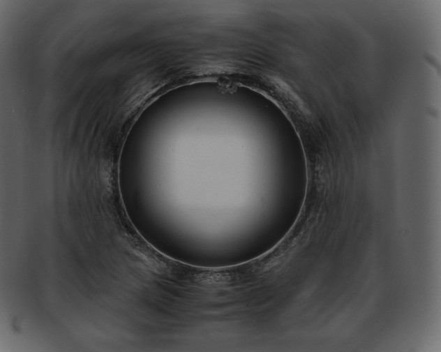 X0000093371217200710191110