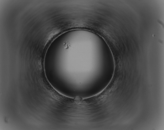 X0000093371218200710191110