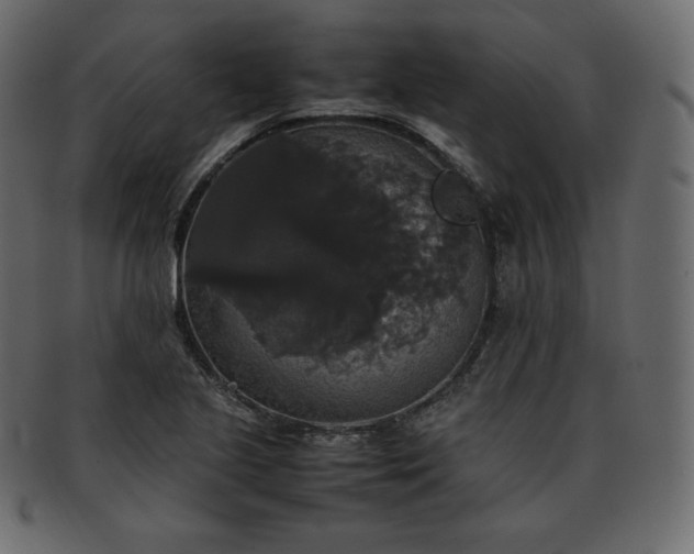 X0000093371221200710191110