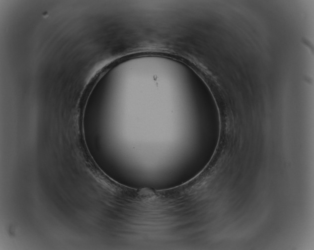 X0000093371222200710191110