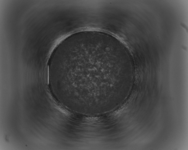 X0000093371223200710191110