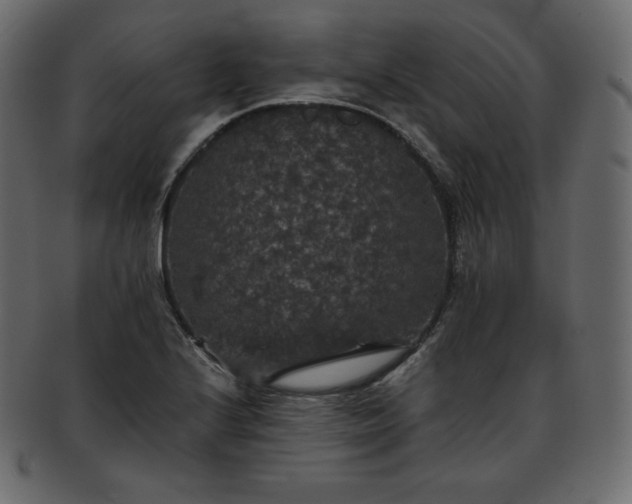 X0000093371224200710191110