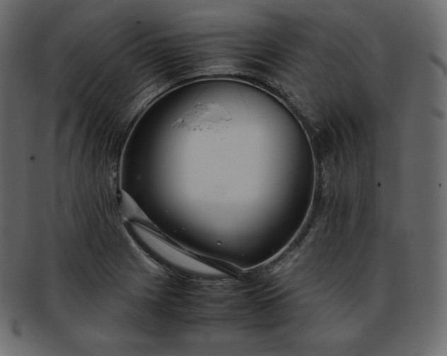 X0000093371225200710191110