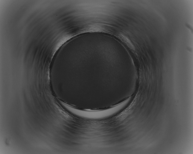 X0000093371226200710191110