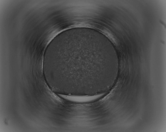 X0000093371228200710191110