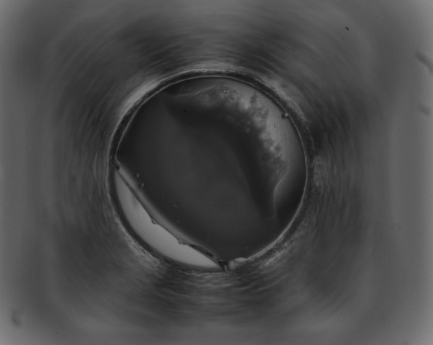 X0000093371229200710191110